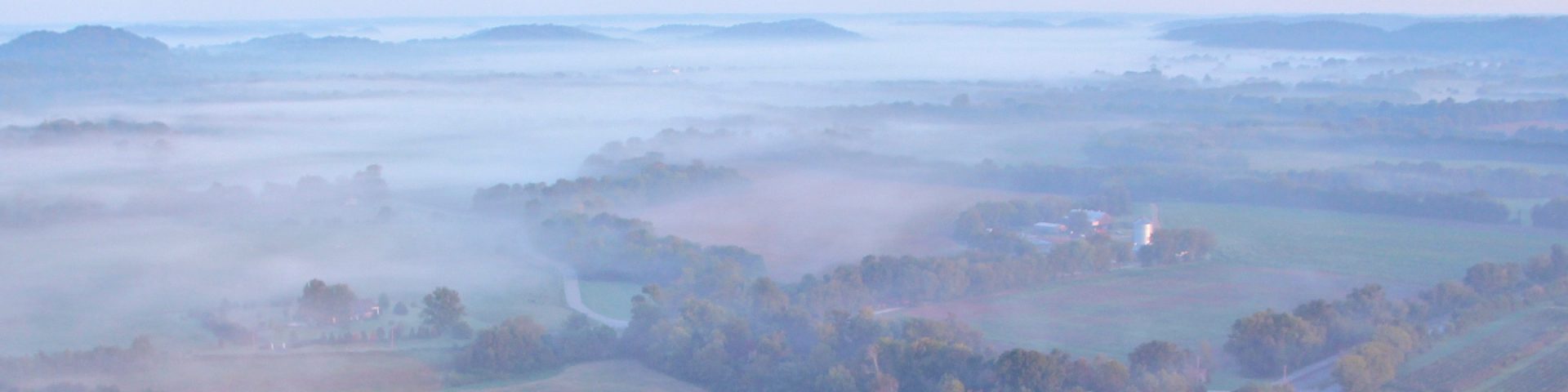 A foggy morning view of patches of farm land separated by trees