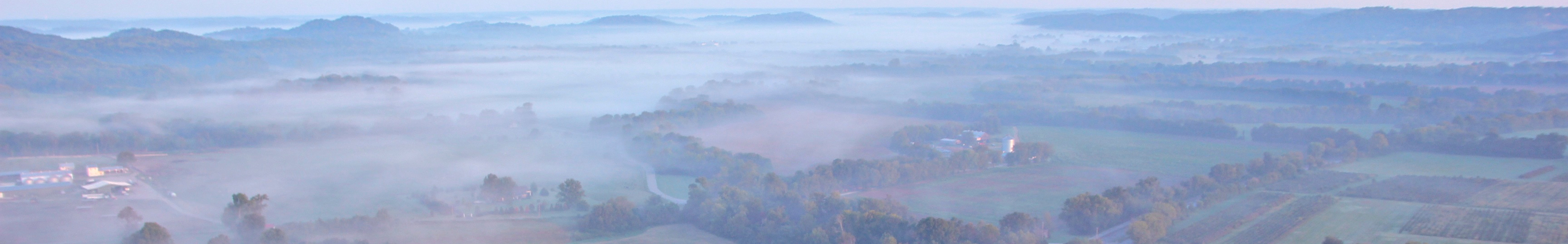 A foggy morning view of patches of farm land separated by trees